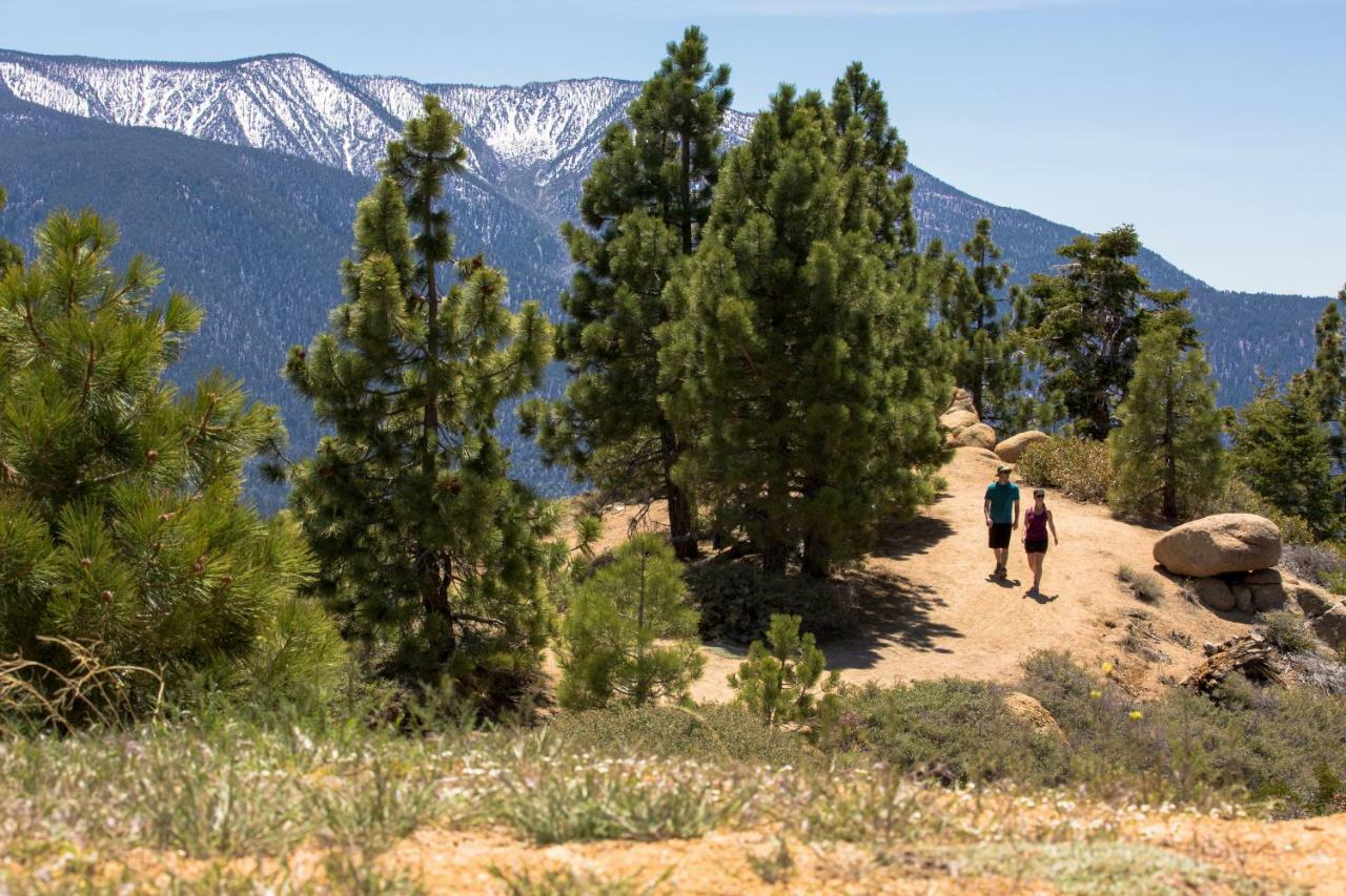 Honey Bear Lodge & Cabins Big Bear Lake Exterior foto