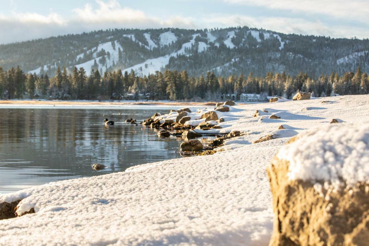 Honey Bear Lodge & Cabins Big Bear Lake Exterior foto